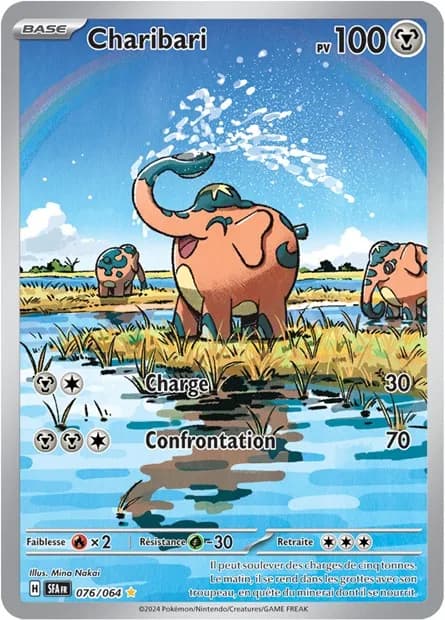 Charibari 76/64