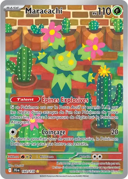 Maracachi 160/159