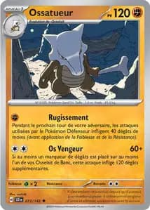 Ossatueur 73/142
