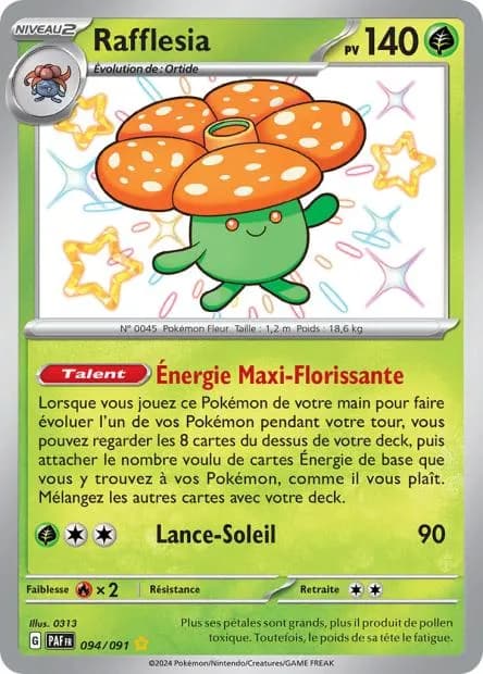 Rafflesia 94/91