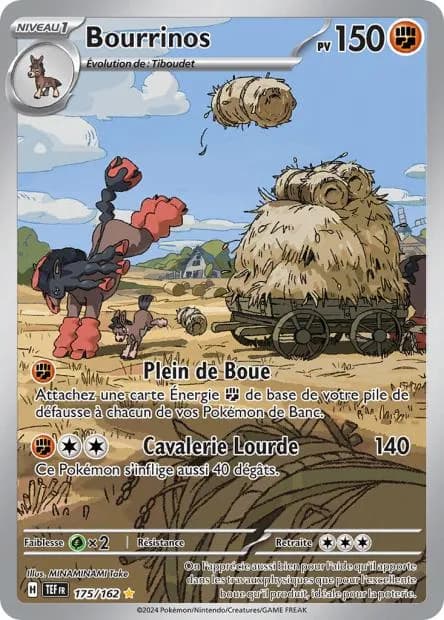 Bourrinos 175/162