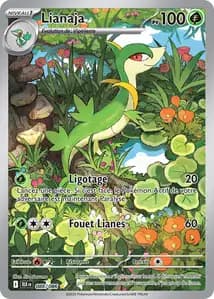 Lianaja 88/86