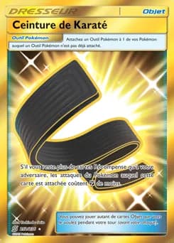 Ceinture de Karaté 252/236